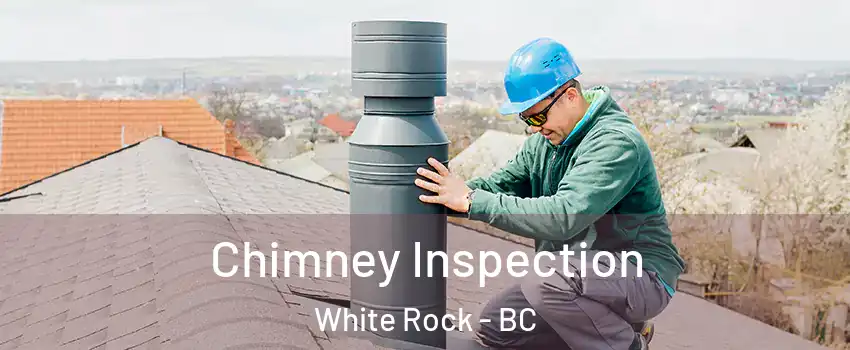 Chimney Inspection White Rock - BC