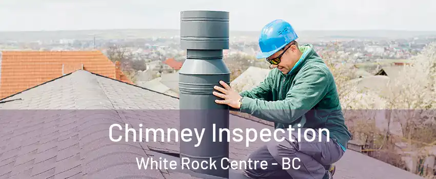  Chimney Inspection White Rock Centre - BC