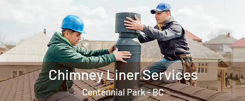 Chimney Liner Services Centennial Park - BC