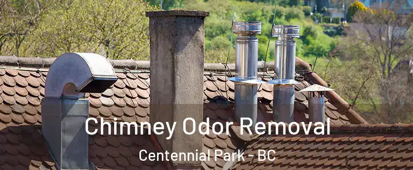 Chimney Odor Removal Centennial Park - BC