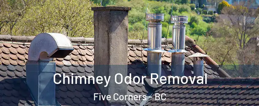  Chimney Odor Removal Five Corners - BC