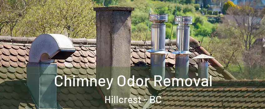  Chimney Odor Removal Hillcrest - BC