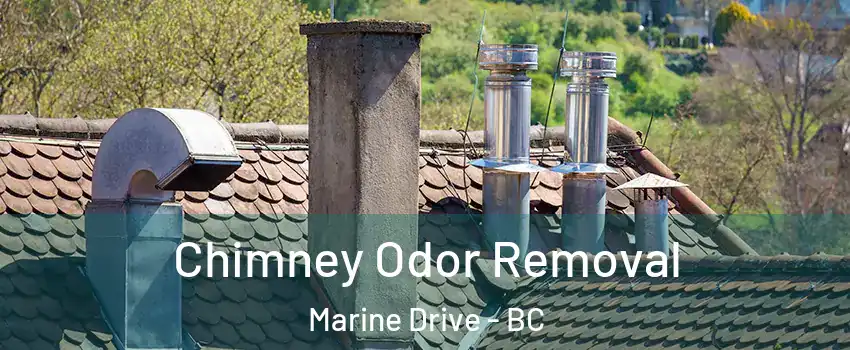  Chimney Odor Removal Marine Drive - BC