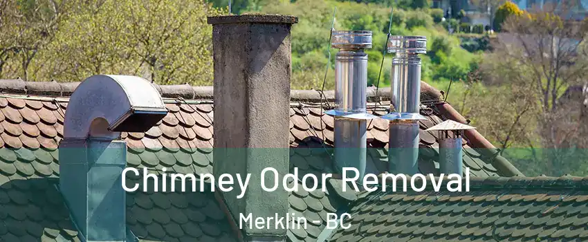  Chimney Odor Removal Merklin - BC