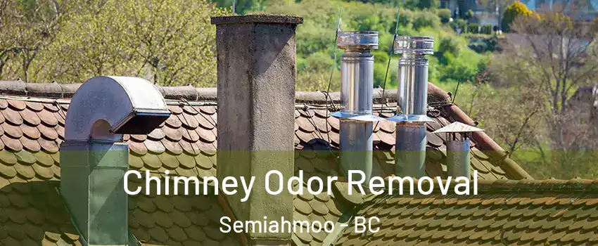  Chimney Odor Removal Semiahmoo - BC