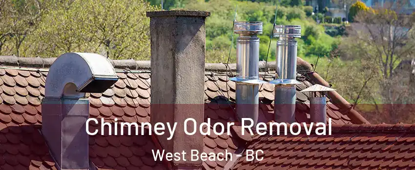  Chimney Odor Removal West Beach - BC