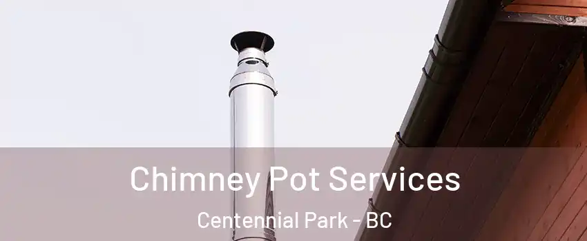 Chimney Pot Services Centennial Park - BC