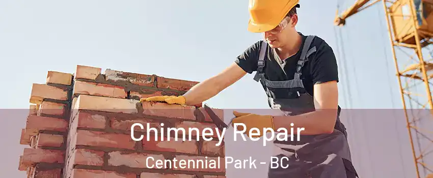 Chimney Repair Centennial Park - BC