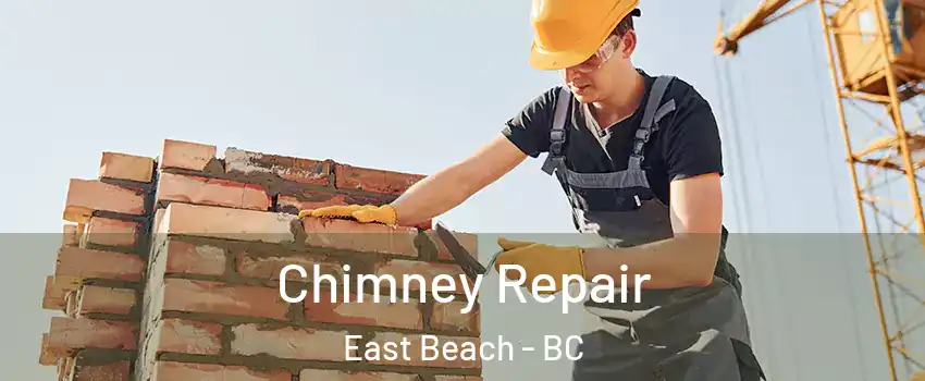  Chimney Repair East Beach - BC