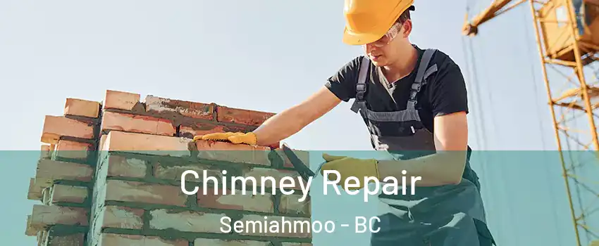 Chimney Repair Semiahmoo - BC