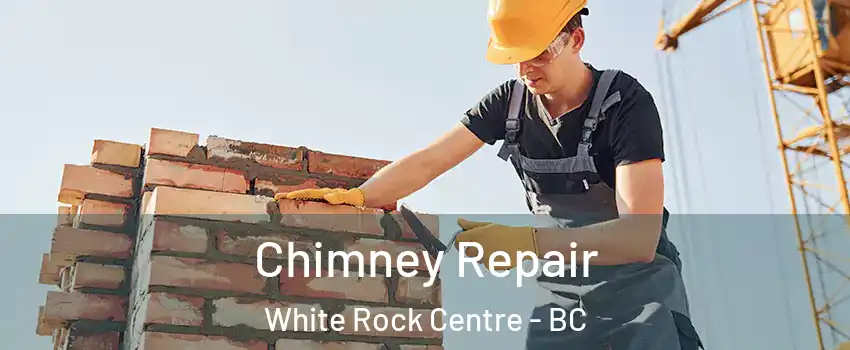  Chimney Repair White Rock Centre - BC