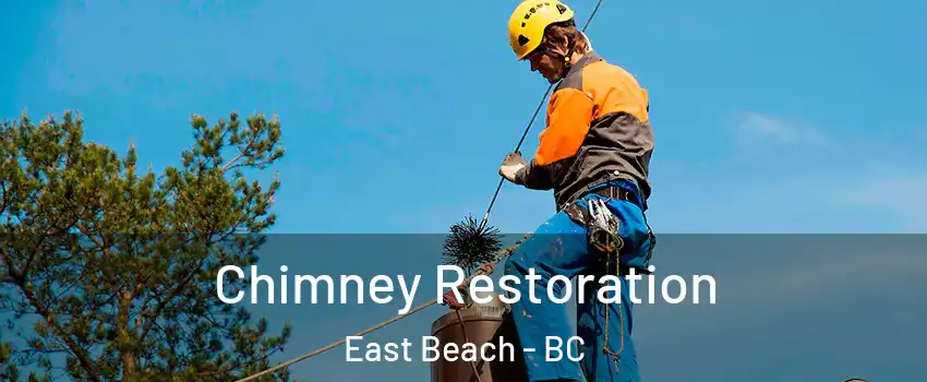Chimney Restoration East Beach - BC