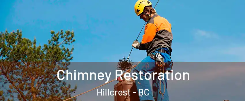  Chimney Restoration Hillcrest - BC