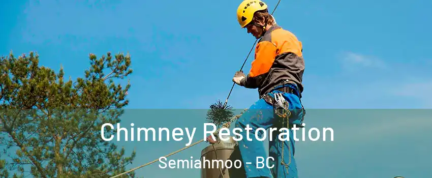  Chimney Restoration Semiahmoo - BC
