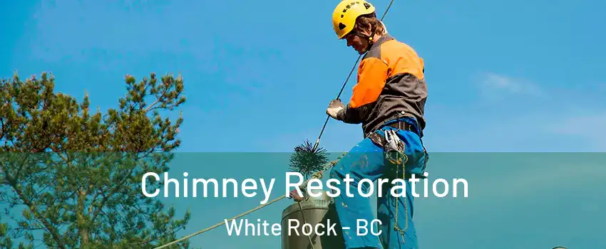  Chimney Restoration White Rock - BC
