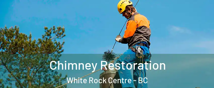  Chimney Restoration White Rock Centre - BC