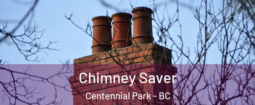 Chimney Saver Centennial Park - BC