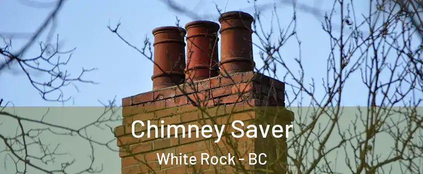  Chimney Saver White Rock - BC