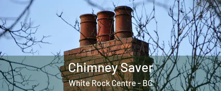  Chimney Saver White Rock Centre - BC