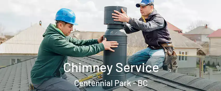  Chimney Service Centennial Park - BC