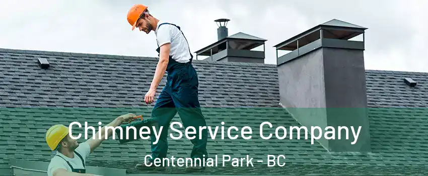  Chimney Service Company Centennial Park - BC