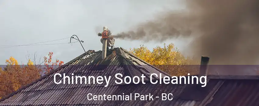 Chimney Soot Cleaning Centennial Park - BC
