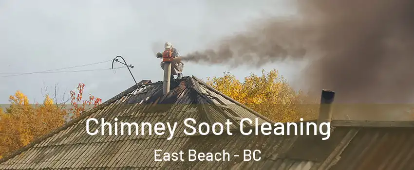 Chimney Soot Cleaning East Beach - BC