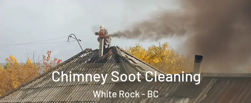  Chimney Soot Cleaning White Rock - BC