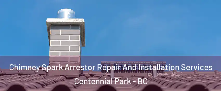 Chimney Spark Arrestor Repair And Installation Services Centennial Park - BC