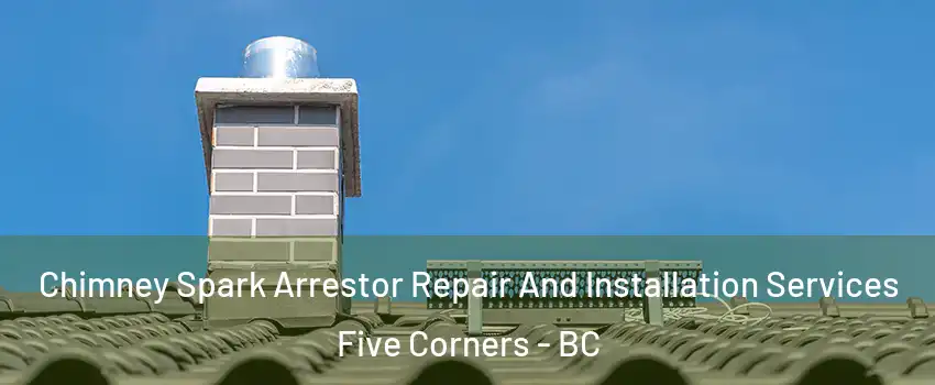 Chimney Spark Arrestor Repair And Installation Services Five Corners - BC