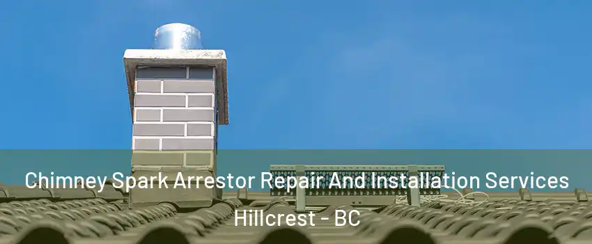  Chimney Spark Arrestor Repair And Installation Services Hillcrest - BC