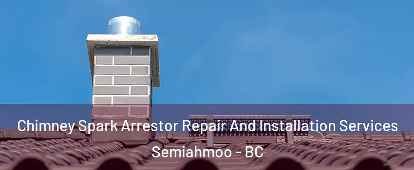  Chimney Spark Arrestor Repair And Installation Services Semiahmoo - BC