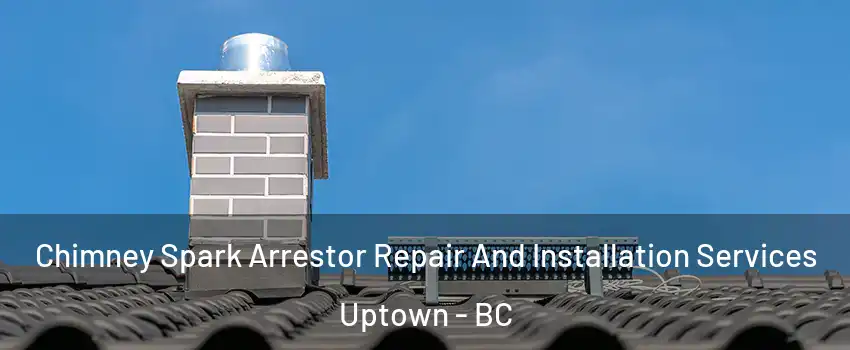  Chimney Spark Arrestor Repair And Installation Services Uptown - BC