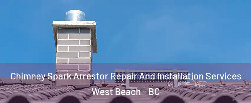  Chimney Spark Arrestor Repair And Installation Services West Beach - BC