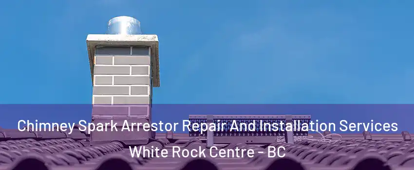  Chimney Spark Arrestor Repair And Installation Services White Rock Centre - BC