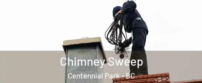  Chimney Sweep Centennial Park - BC