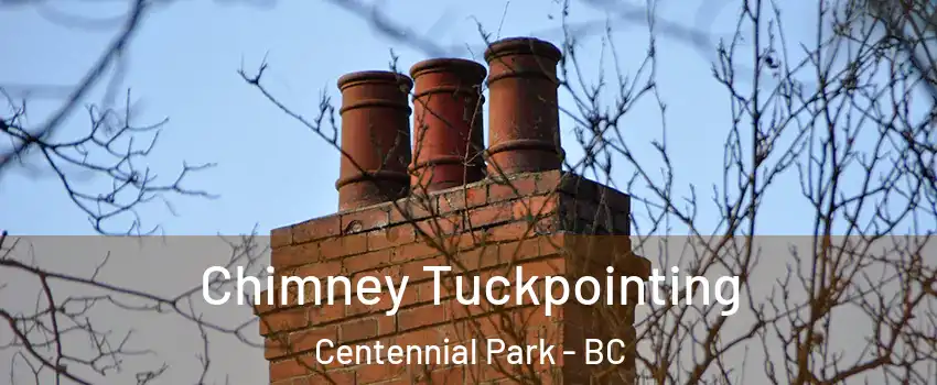  Chimney Tuckpointing Centennial Park - BC