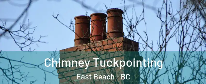  Chimney Tuckpointing East Beach - BC