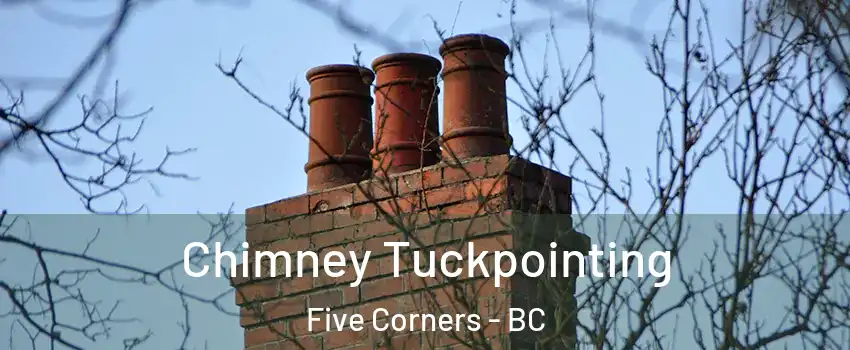  Chimney Tuckpointing Five Corners - BC