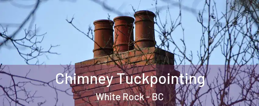  Chimney Tuckpointing White Rock - BC