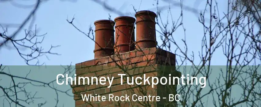  Chimney Tuckpointing White Rock Centre - BC