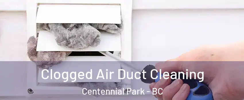 Clogged Air Duct Cleaning Centennial Park - BC