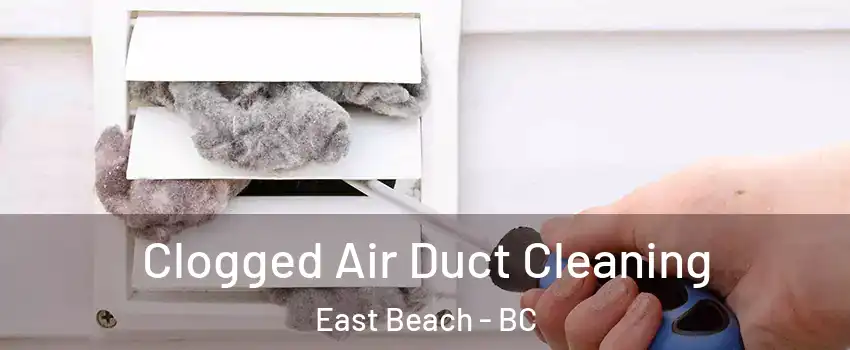 Clogged Air Duct Cleaning East Beach - BC