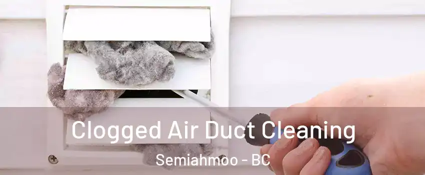  Clogged Air Duct Cleaning Semiahmoo - BC