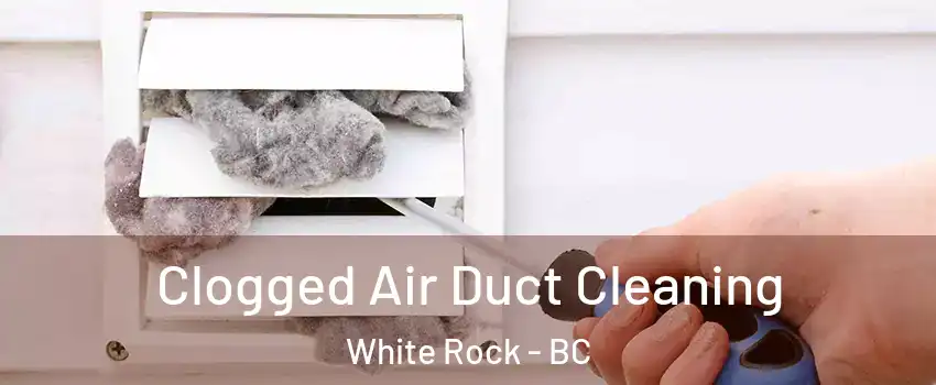  Clogged Air Duct Cleaning White Rock - BC