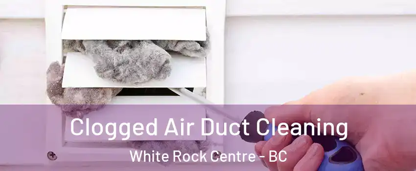  Clogged Air Duct Cleaning White Rock Centre - BC