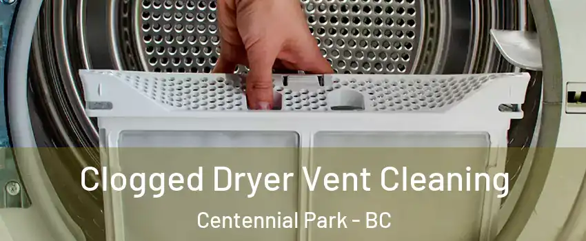  Clogged Dryer Vent Cleaning Centennial Park - BC