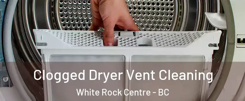  Clogged Dryer Vent Cleaning White Rock Centre - BC