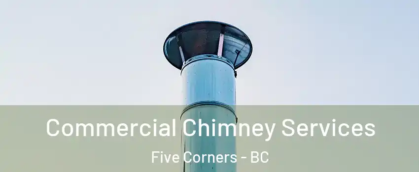  Commercial Chimney Services Five Corners - BC