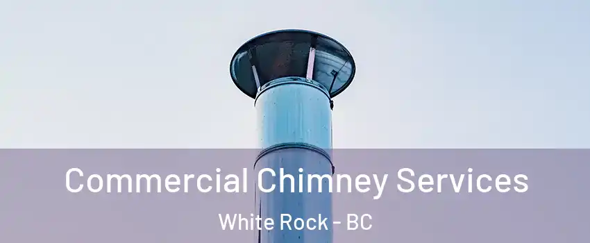 Commercial Chimney Services White Rock - BC